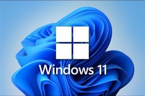 Windows11一键默认浏览器功能回归，网友：好改